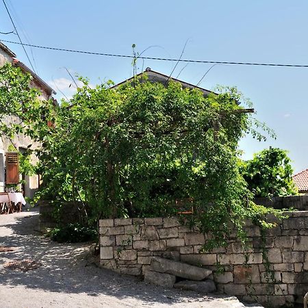 Blackbird House Stanjel Historic Center エクステリア 写真