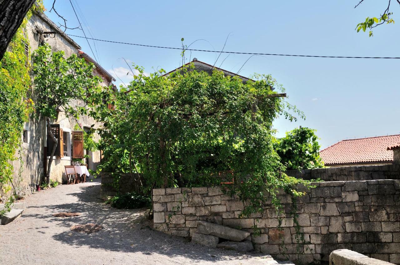 Blackbird House Stanjel Historic Center エクステリア 写真